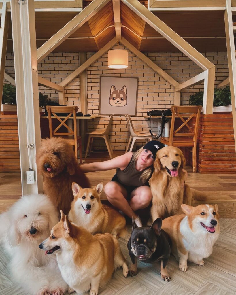 Dog Town In Ari Bangkok