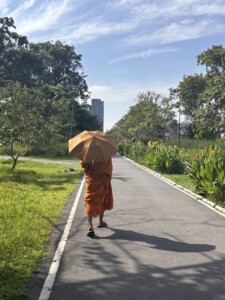 Read more about the article From Culture Shock to Rainy Days: Living in Thailand
