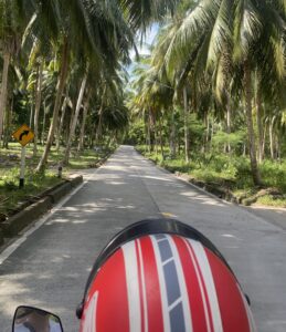 Read more about the article Getting Around Thailand: Tips for Motorbikes, Trains, Tuk-Tuks, and More